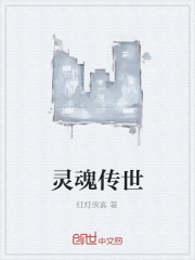 灵魂传世