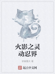 火影之再遁忍界