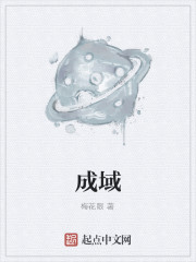 成域
