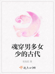 魂穿男多女少的古代