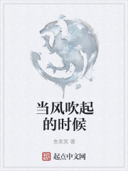 当风吹起的时候