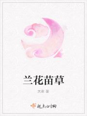 兰花苗草