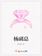 杨副总