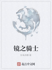 镜之骑士