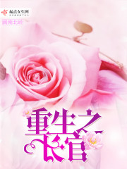 重生之长官