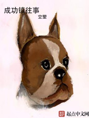 成功镇往事