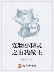 宠物小精灵之由我做主