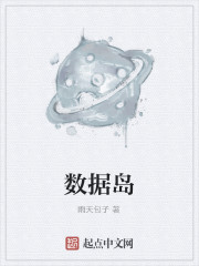 数据岛