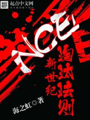 新世纪淘汰法则