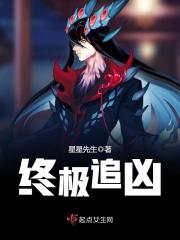终极追凶