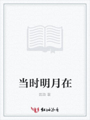 当时明月在