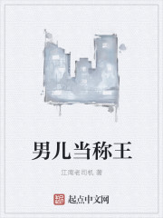 男儿当称王