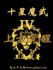 十星皇者轮回