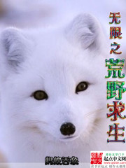 荒野大厨神