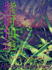 紫府仙途