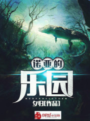 诺亚的乐园