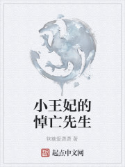 小王妃的悼亡先生
