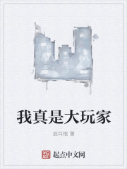 我真是大玩家