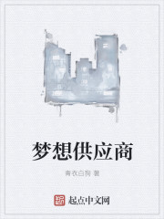 梦想供应商