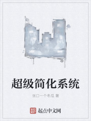 超级简化系统