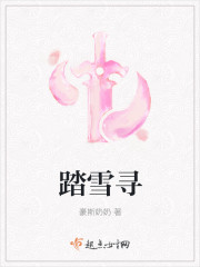 踏雪寻