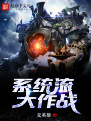 系统流大作战