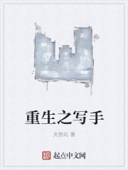重生之写手