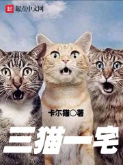 三只猫的乌托帮