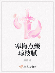 寒梅点缀琼枝腻