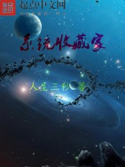 系统收藏家
