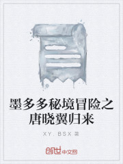 查理九世外传之唐晓翼归来