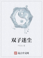 双子迷尘
