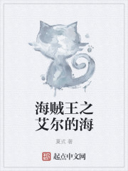 海贼王之艾尔的海