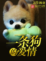 一条狗的爱情