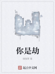 你是劫