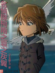 名侦探柯南之哀之灰翼