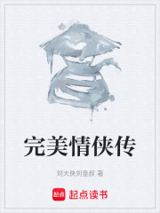 完美情侠