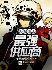 海贼王之最强供应商