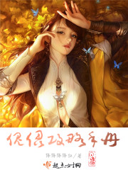 傀儡攻略手册