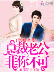 隐婚蜜爱：总裁老公非你不可