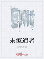道者二十七终