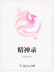 精神录
