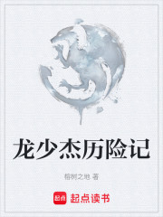 龙少杰历险记