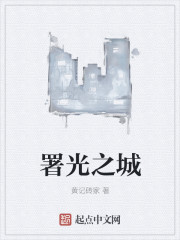 署光之城