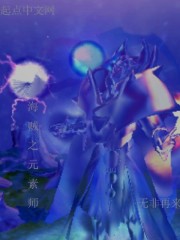 海贼之元素师