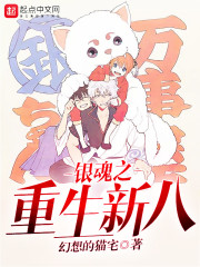 银魂之重生新八