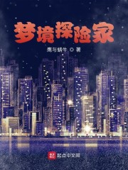 梦境探险家