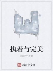执着与完美