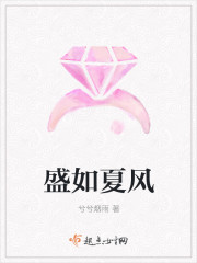 盛如夏风