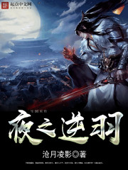 夜之逆羽